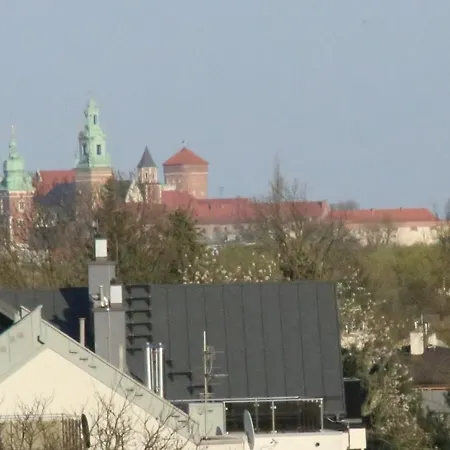 Daisy Superior Krakkó