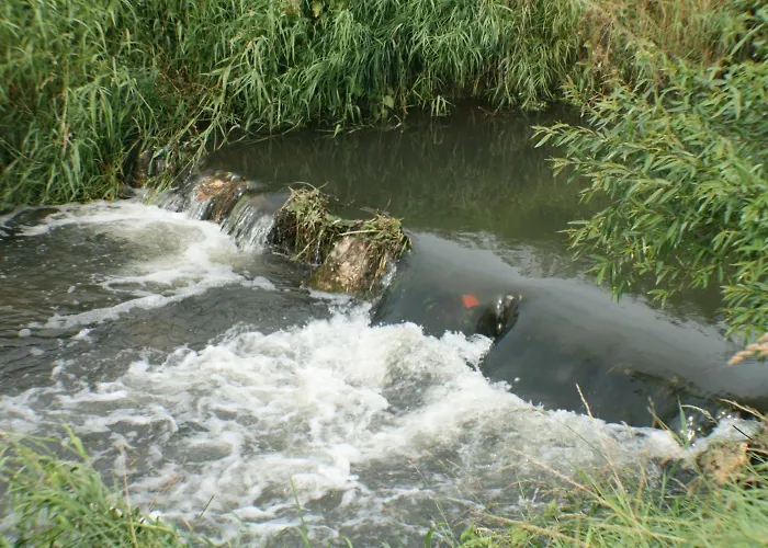 Daisy Superior לינה וארוחת בוקר קרקוב