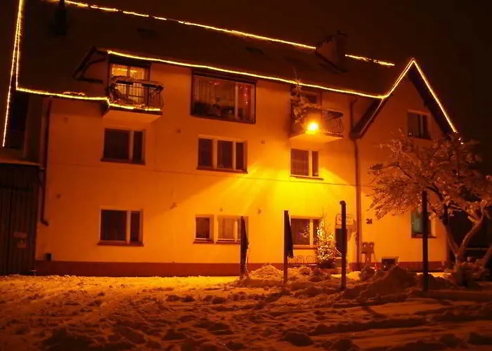 Daisy Superior Krakow