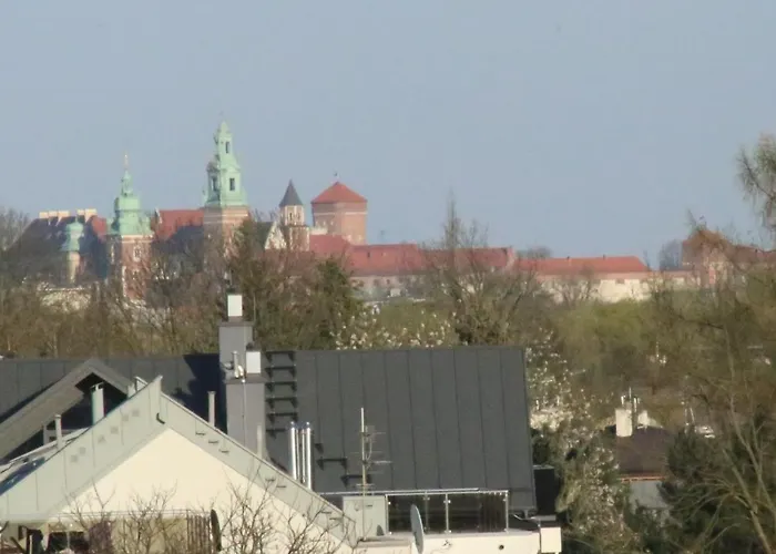 Daisy Superior Krakow