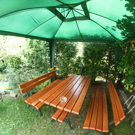 Daisy Superior Krakau