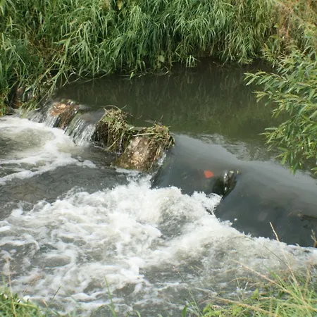 黛西高级酒店 住宿加早餐酒店 克拉科夫