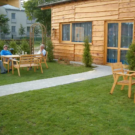 Daisy Superior Krakau