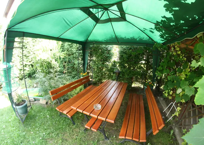 Daisy Superior Krakow