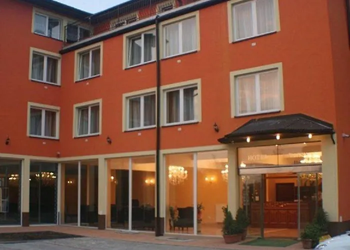 데이지 수페리어 크라쿠프